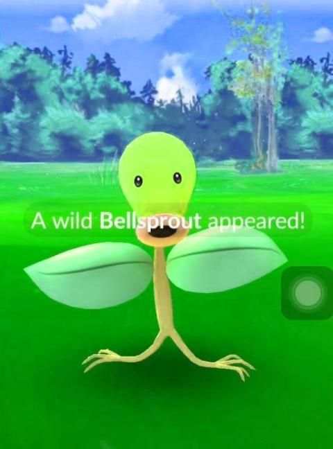 Guide for Pokemon GO screenshot 2