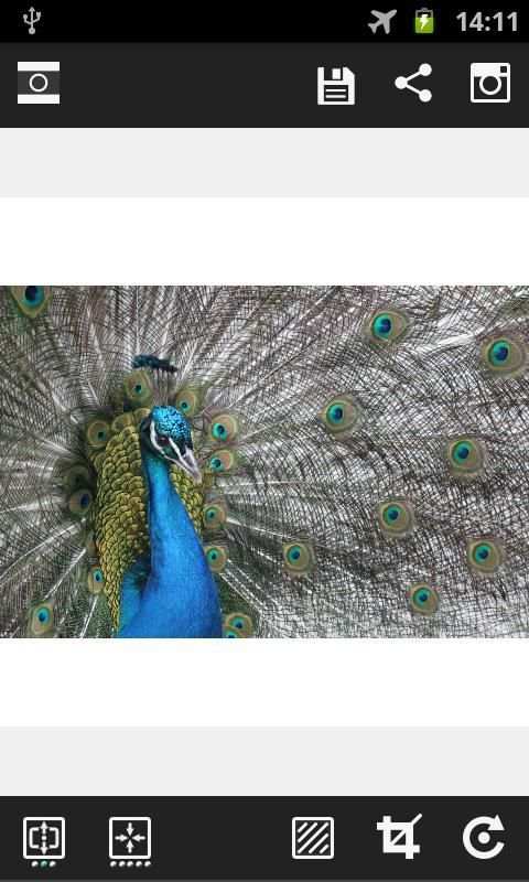 Insta Square Maker -No Crop HD 4 تصوير الشاشة