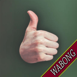 FSOT Foreign Service Officer Test Flashcards иконка