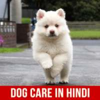 Dog Care in Hindi on 9Apps