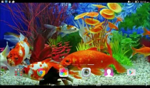 Aquarium Live Wallpaper screenshot 1