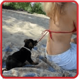 ikon Free Funny Videos Top HD