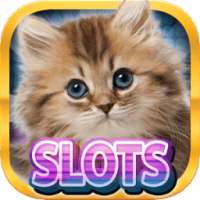 Casino Kitty Free Slot Machine