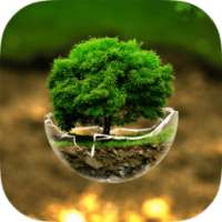 Nature Live Wallpaper on 9Apps