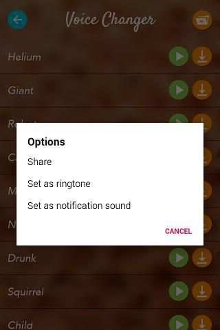 Amazing Voice Changer