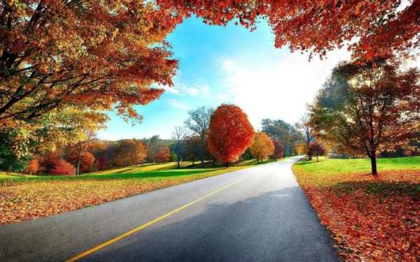 Fall Wallpaper 2 تصوير الشاشة