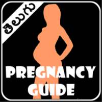 Pregnancy Tips in Telugu