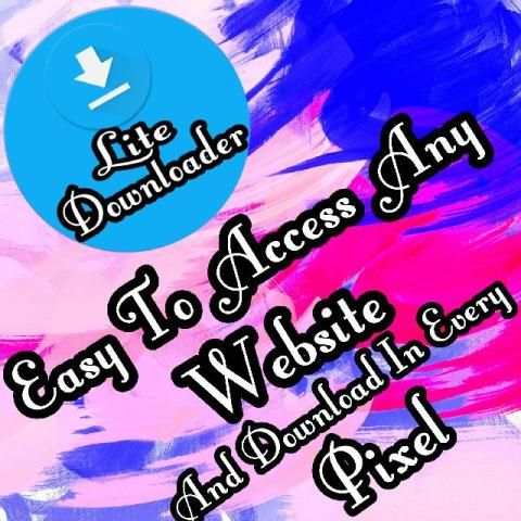 Lite Downloader screenshot 1