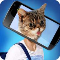 What you are Cat? Face Scanner