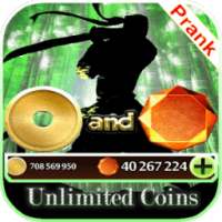 Gems for Shadow Fight 2 game prank