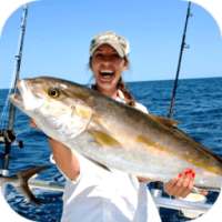 Sea Fishing: Techniques & Skills *