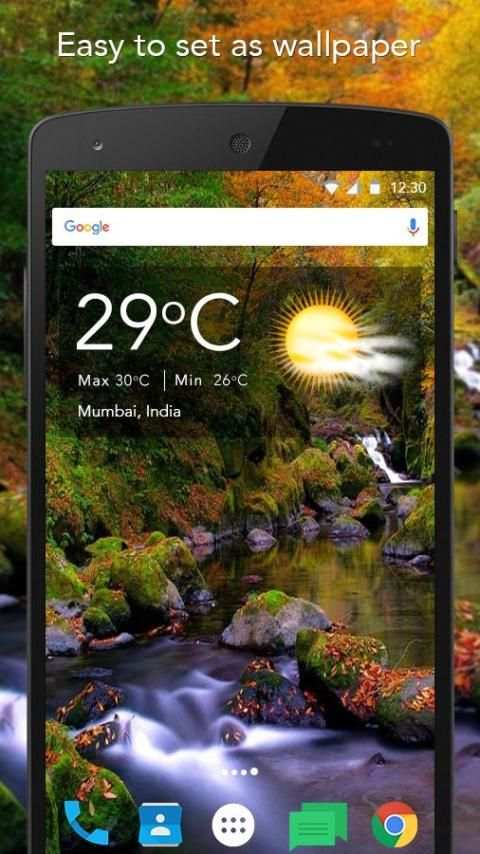 Live Water Garden Wallpaper скриншот 5