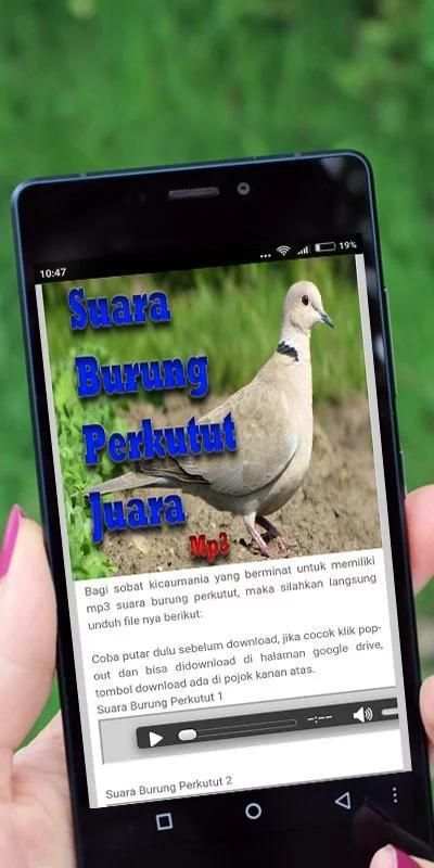 Suara Burung Perkutut Juara screenshot 1