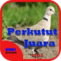 Suara Burung Perkutut Juara on 9Apps