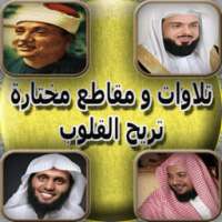 تلاوات مؤثرة و مريحة للقلوب on 9Apps