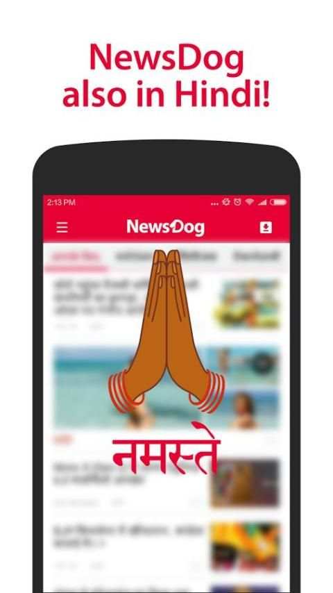 NewsDog Lite - India News скриншот 3
