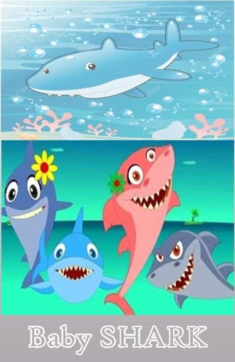 Lagu BABY SHARK स्क्रीनशॉट 3