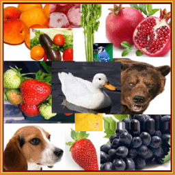 Flashcard for kids आइकन