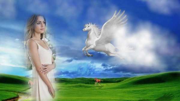 Dual Beautiful Photo Frame 4 تصوير الشاشة