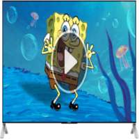 spongebob videos