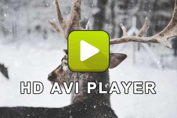 HD AVI Player screenshot 2