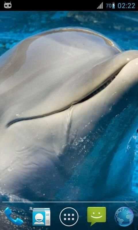 Magic Ripple : Cute Dolphin 4 تصوير الشاشة