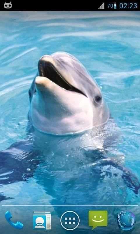 Magic Ripple : Cute Dolphin स्क्रीनशॉट 2