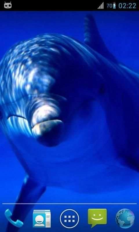 Magic Ripple : Cute Dolphin 3 تصوير الشاشة
