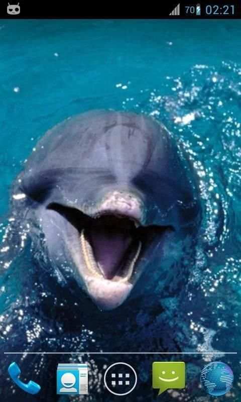 Magic Ripple : Cute Dolphin скриншот 5