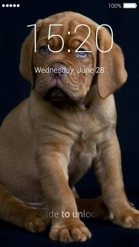 Cute Puppy Lock Screen 8 تصوير الشاشة