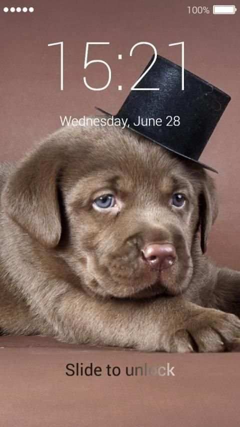 Cute Puppy Lock Screen 4 تصوير الشاشة