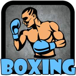 Boxing Videos - Offline