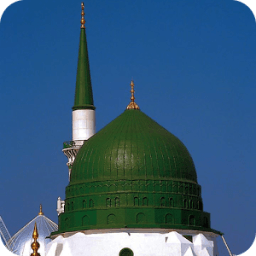 Madani Channel Programs أيقونة