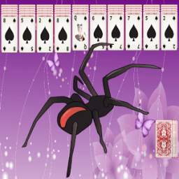 Spider Solitaire X