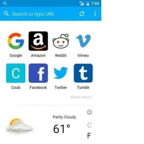 VIVO BROWSER screenshot 4