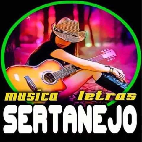 Músicas Sertanejo Mais Tocadas скриншот 4