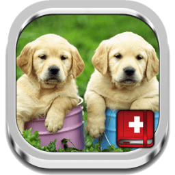 Dog Symptoms Cure icon