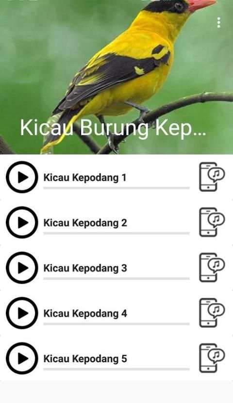 Suara Burung Kepodang screenshot 1