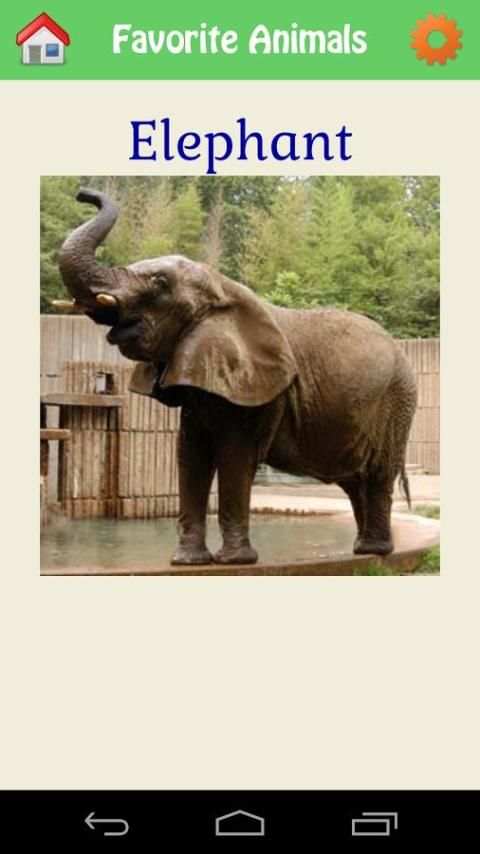 Animal Kingdom скриншот 4