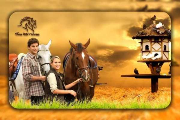 Horse Photo Editor 2 تصوير الشاشة