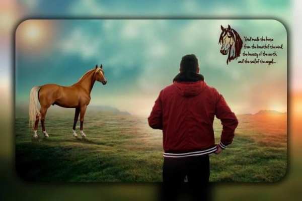 Horse Photo Editor 4 تصوير الشاشة