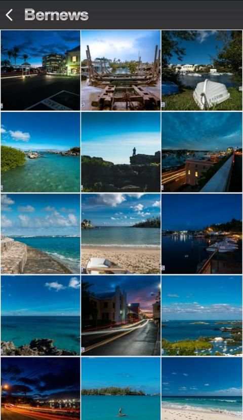 Bernews Bermuda screenshot 1