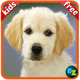 Kids Preschool Learning Cards أيقونة