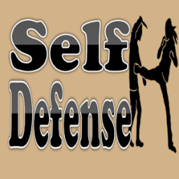 The Best Self Defense Techniques icon