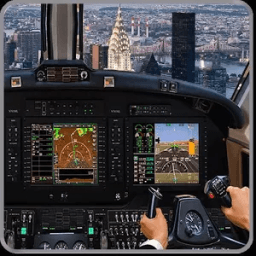 Pilot Airplane Driving Simulator иконка