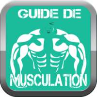 Guide de Musculation