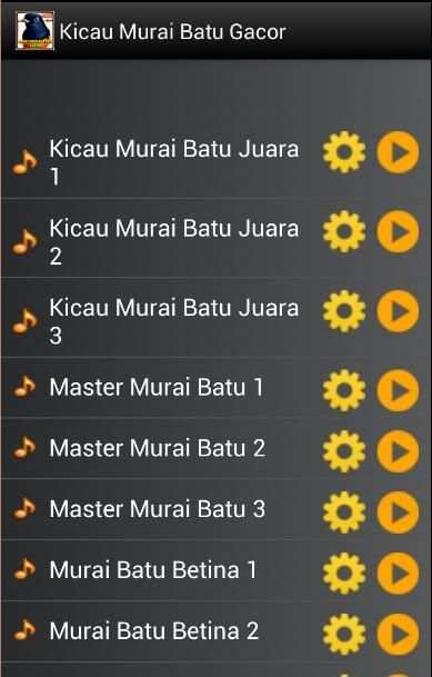 Kicau Murai Batu Gacor 3 تصوير الشاشة