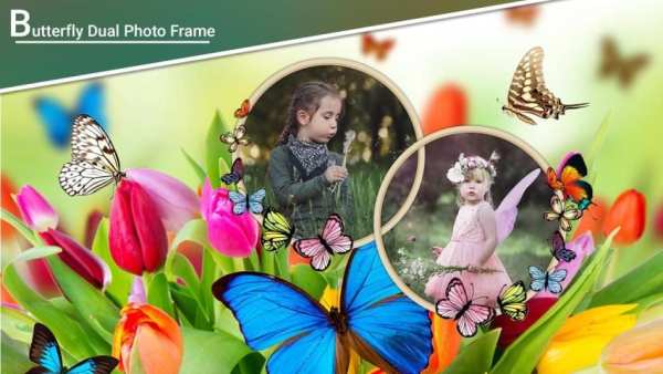 Butterfly Dual Photo Frames screenshot 3