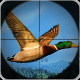 Birds Hunting Target Game icon