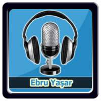 Ebru Yaşar - Havadan Sudan on 9Apps